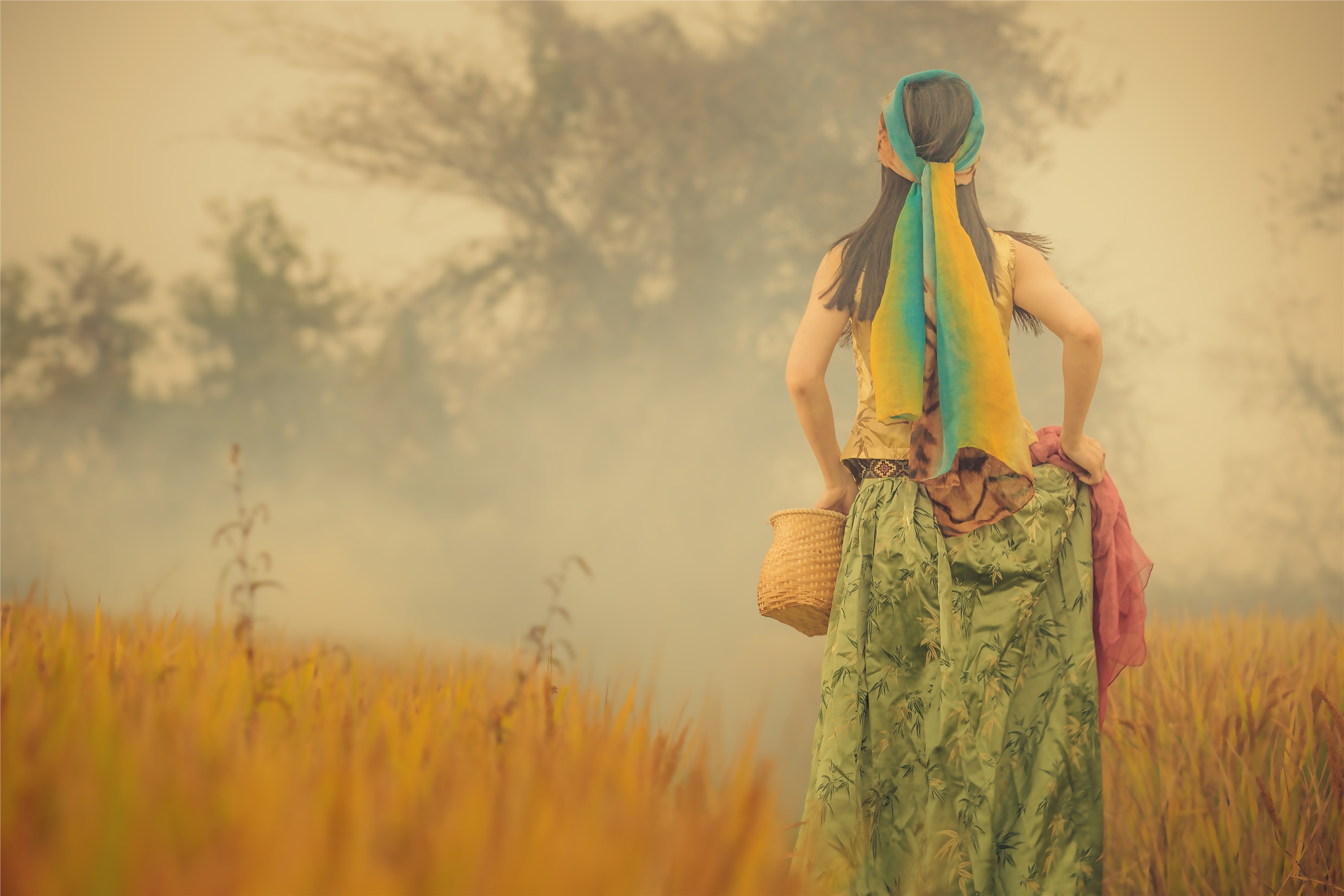 YITUYU艺图语 2021.07.02 稻花香 颗颗树